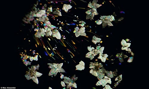 Những bức ảnh chụp tinh thể đẹp mê hồn