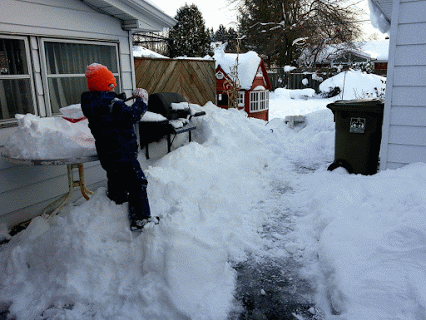 Google+ là thiên đường của nhiếp ảnh gia. Google+ có đầy đủ tiện ích tuyệt vời mà một nhiếp ảnh gia muốn có. Google+ có thể tự động sao lưu hình ảnh trên trình Android hoặc iPhone của bạn khi chụp (điều mà các mạng xã hội khác không có), và cung cấp cho bạn công cụ để chỉnh sửa màu sắc và hiệu ứng các bức ảnh của bạn. Ngoài ra, nó còn có một chức năng "Auto Awesome, một bộ công cụ chỉnh sửa ảnh có thể tự động kết hợp nhiều bức ảnh thành một ảnh GIF (ảnh động).