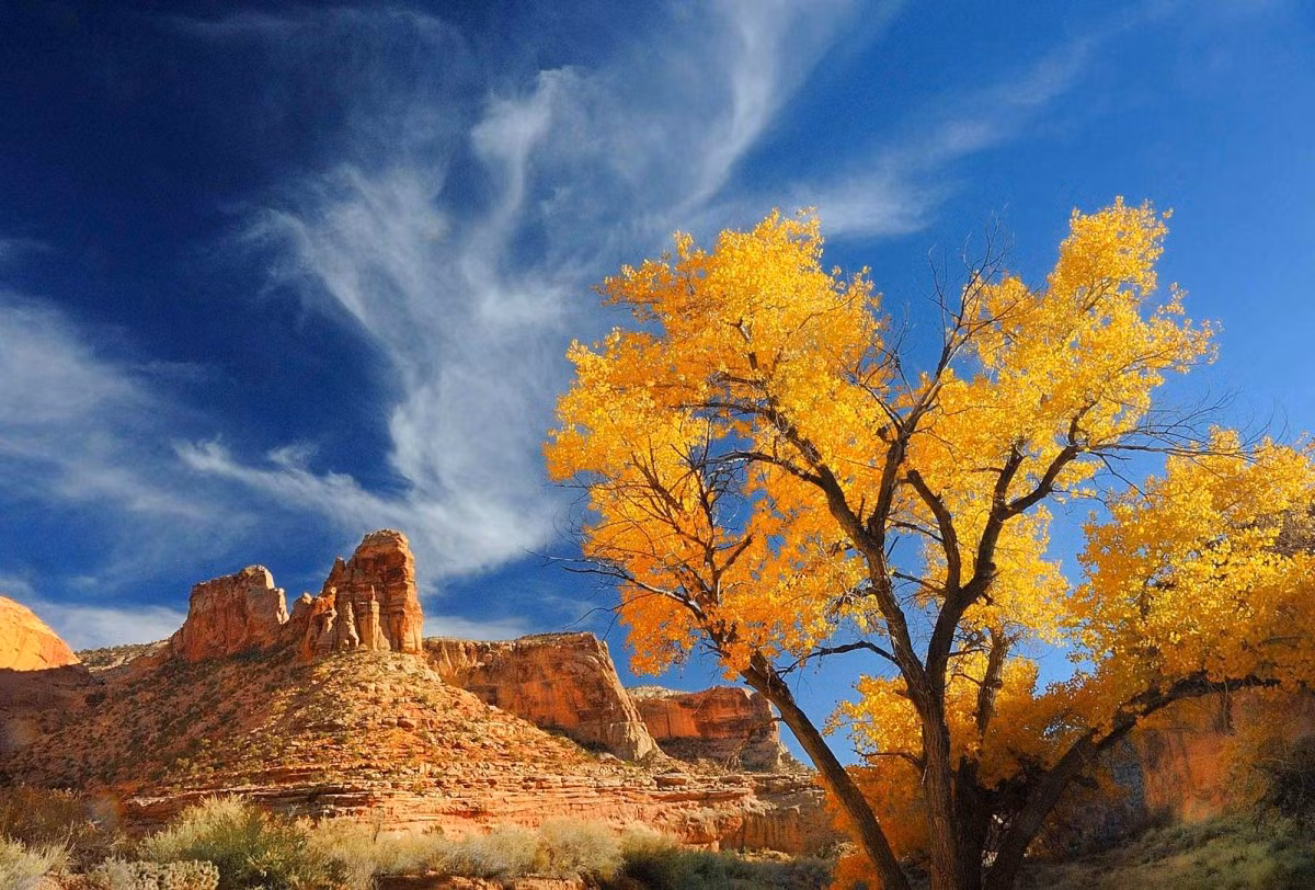 Những bức ảnh thiên nhiên đẹp đến nghẹt thở