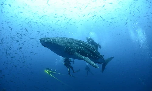 Ảnh thiên nhiên Trái đất tuyệt mỹ ai cũng phải lòng (2)