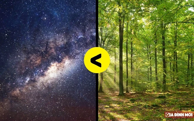 Sự thật "sốc" các con số đến người ghét Toán thấy thú vị