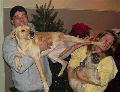 Khi động vật chơi khăm (1)