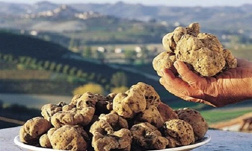 9 loại nông sản đắt đến ghê răng trên thế giới