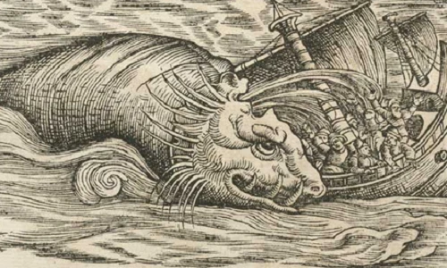 Ảnh gây kinh ngạc về động vật từ thế kỷ 16 (2)