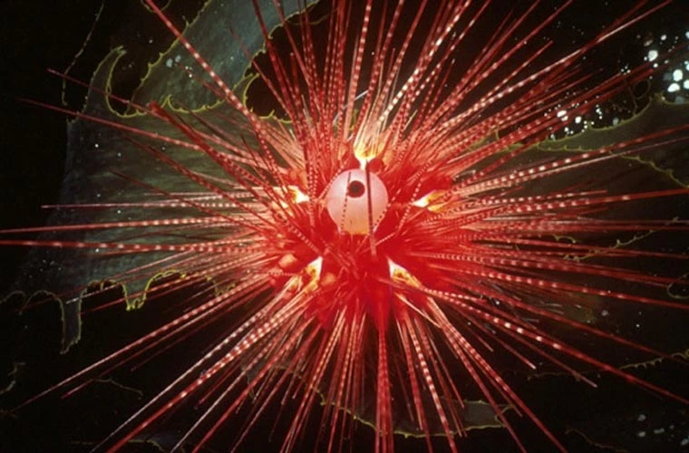 Điểm mặt những loài vật sống lâu nhất hành tinh