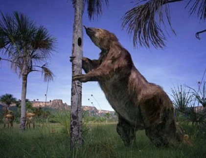 Gặp gỡ quái thú khổng lồ, nặng 5 tấn