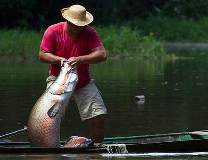 Xem ngư dân bắt “thủy quái” khủng
