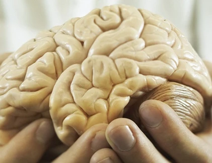 Những bộ phận người máy trên cơ thể người