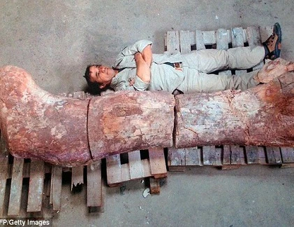 Ngắm bộ hài cốt khủng long khủng, nặng 77 tấn