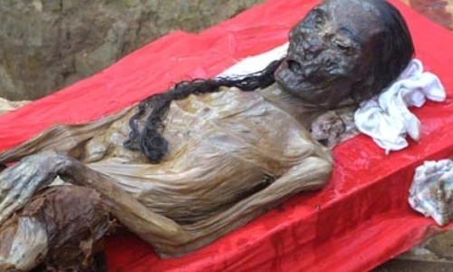 Những tiên đoán 2015 khiến ai cũng nổi da gà