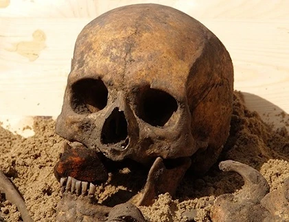 Điểm những phát hiện xương ma cà rồng gây sốc nhất