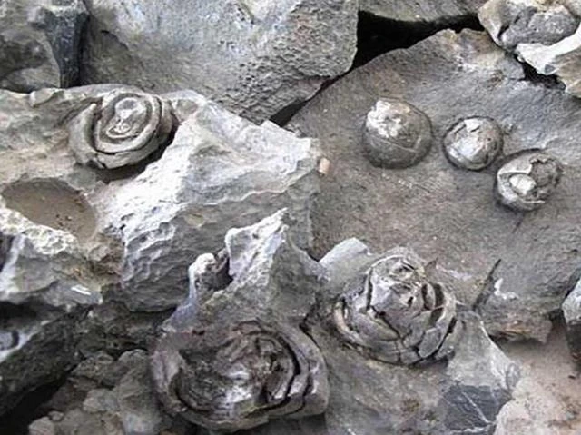 Kỳ bí cảnh tượng đá nở hoa có thật đến ngỡ ngàng