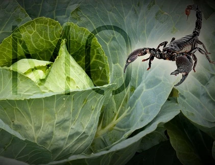 Top thí nghiệm với thiên nhiên quái đản không tưởng 