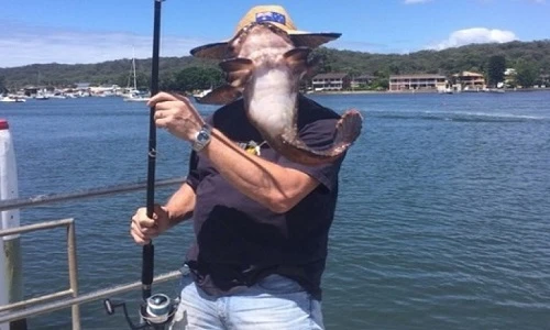 Chùm ảnh độc lạ ghi lại những khoảnh khắc siêu đẳng nhất