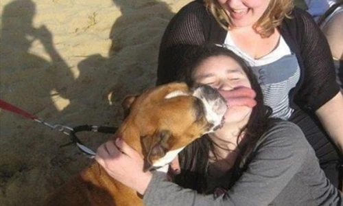 Loạt ảnh gây ảo tưởng, khiến bạn chỉ muốn phát rồ