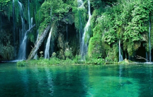 Khám phá 5 điểm hệ động thực vật độc lạ nhất Việt Nam