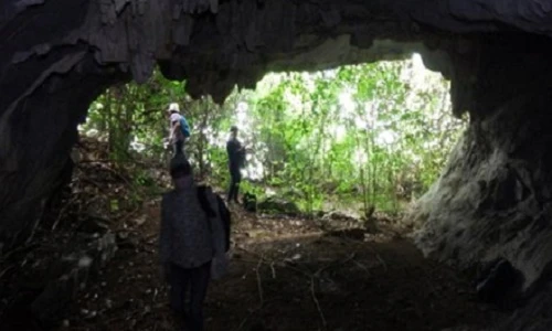 Phát hiện 23 hang động mới trên vịnh Hạ Long