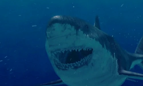 Zoom cá mập khổng lồ là “cỗ máy giết người” siêu hạng