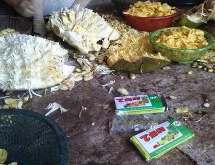 Tác hại kinh hoàng của thuốc thúc chín trái cây 