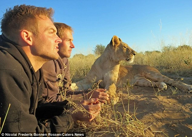 Mối tình sư tử cái và... 2 người đàn ông