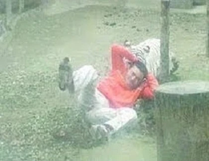 Sợ khiếp vía xem hổ trắng tấn công người