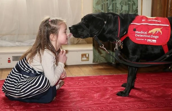 Những phát hiện gây sửng sốt về loài chó