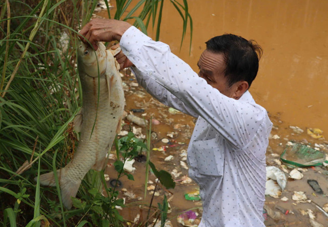 Cá chết, hoa màu bị vùi lấp, môi trường bị ô nhiễm nặng. Ước tính thiệt hại ban đầu khoảng 1,8 tỷ đồng. Ảnh HC ca-chet.jpg