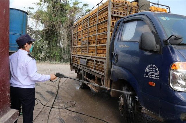 Phun khử khuẩn tại các chốt kiểm dịch động vật. Ảnh minh họa kiem-dich.jpg