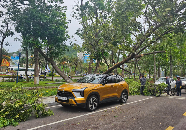 Cây đổ xuống đường đè trúng ô tô BKS 77H-334.71 cay-nga.jpg