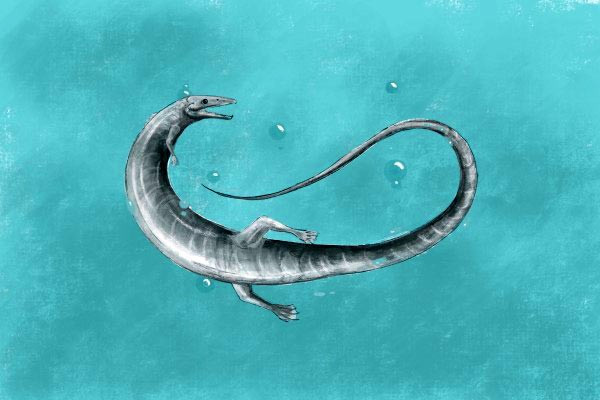 "Rồng quái vật" Pleurosaurus - Ảnh đồ họa: Roberto Ochoa "Rồng quái vật" Pleurosaurus - Ảnh đồ họa: Roberto Ochoa