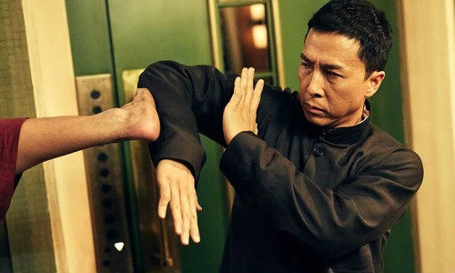 Những vai diễn võ thuật để đời của Chân Tử Đan