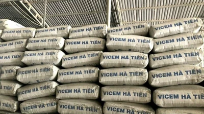 Kê khai không đúng,Vicem Hà Tiên bị xử phạt thuế hơn 2,5 tỷ