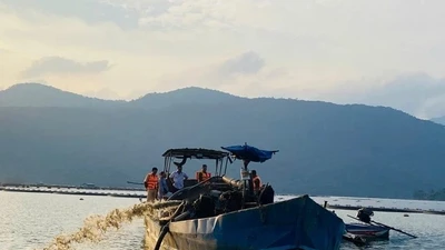 Đang bơm hút cát trái phép, bị công an tóm gọn
