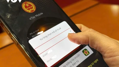 Một người, nhiều mã số thuế: Cách xử lý