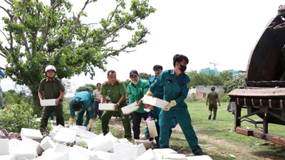 Thu gom hàng trăm viên trắng lạ đổ trái phép