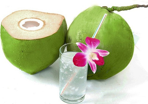 Với khả năng cung cấp nước cực tốt cho làn da của bạn, dừa sẽ là loại quả hàng đầu giúp bạn có một làn da căng bóng, mọng nước và trắng sáng lên trông thấy. Ảnh: tribenhdaday.