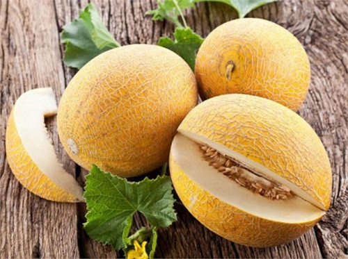 Tương tự, dưa vàng cũng là loại trái cây giúp da bạn tránh khô tróc, nứt nẻ trong mùa đông nhờ chứa tới 90,2% lượng nước. Bên cạnh đó, dưa vàng còn ít calo trong khi lượng vitamin A và C lại rất dồi dào. Ảnh: lamsao.