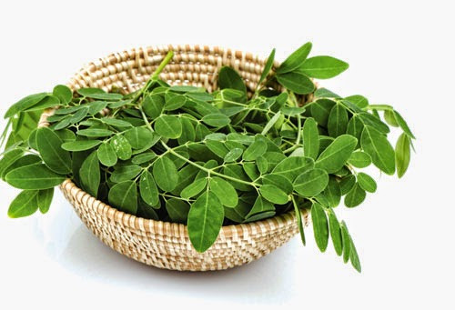 Trong rau chùm ngây có alpha - sitosterol, một chất có cấu trúc tương tự như hoormone estrogen gây co cơ trơn tử cung dễ làm sảy thai. Người mẹ mang thai giai đoạn đầu và những mẹ nào tiền sử sảy thai hoặc bi thai lưu tuyệt đối không nên ăn rau chùm ngây.