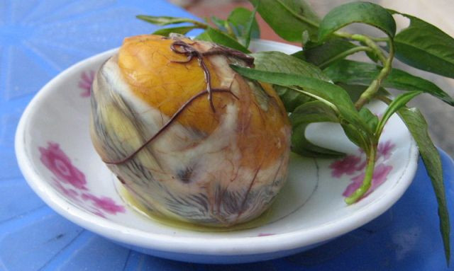 Trong 3 tháng đầu của thai kỳ, nếu bà bầu ăn nhiều rau răm sẽ dẫn đến mất máu. Ngoài ra, rau răm chứa chất gây co bóp tử cung nên sẽ dễ dẫn đến nguy cơ sảy thai.