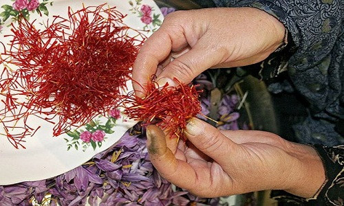 2. Giúp tập trung học tập và cải thiện trí nhớ Các nghiên cứu gần đây cũng đã chứng minh rằng chiết xuất nghệ tây, cụ thể crocin của nó, rất hữu ích trong việc điều trị các chứng liên quan đến suy giảm tinh thần. Tại Nhật Bản, nghệ tây được đóng gói và được sử dụng trong việc điều trị bệnh mất trí nhớ Parkinson và viêm. (Ảnh: Internet)