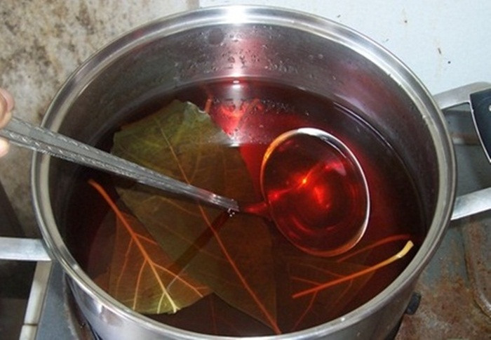Lá bơ chữa bệnh tiểu đường. Dùng khoảng 7-10 lá bơ tươi trên cây vừa mới hái bỏ vào nồi và thêm vào 1,5 – 2 lít nước sạch, sắc lấy 5 bát để nguội rồi cho vào tủ lạnh dùng dần. Mỗi ngày uống 3 lần vào sáng, trưa và tối. Ảnh: Bomocchau. (Thông tin trong bài chỉ mang tính chất tham khảo, trước khi sử dụng bài thuốc, bạn vui lòng hỏi ý kiến bác sĩ).
