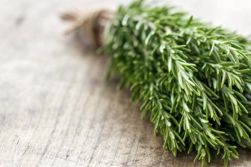 Mê điệt: Mê điệt chứa nhiều tinh dầu bạc hà và chất diệp lục giúp giảm mùi cơ thể và mang đến cho làn da một mùi thơm tự nhiên. Cách làm: Trộn 10 giọt dầu mê điệt trong 1 cốc nước. Bảo quản dung dịch này trong một lọ kín hơi và bôi hàng ngày để khử mùi dưới nách.