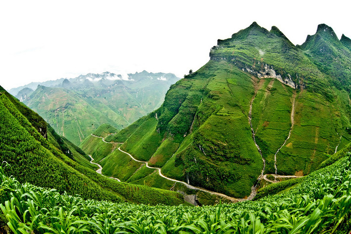 Vẻ đẹp hoang sơ như thuở khai thiên lập địa nhưng không kém phần lãng mạn, huyền bí nơi đây đã thu hút rất nhiều du khách đến tham quan và chinh phục.
