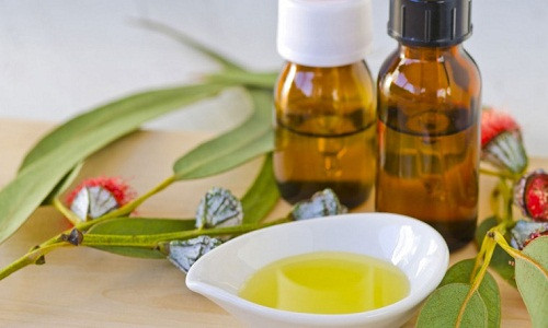 Điều trị các bệnh về hô hấp. Lá và dầu bạch đàn được sử dụng qua nhiều thế hệ cho các bệnh về hô hấp, đặc biệt có tác dụng làm giảm chất nhầy gây ra do viêm đường hô hấp. Với bệnh cảm lạnh hay các triệu chứng về cúm thông thường, chiết xuất từ lá bạch đàn cũng thể hiện tốt vai trò của mình khi điều trị.