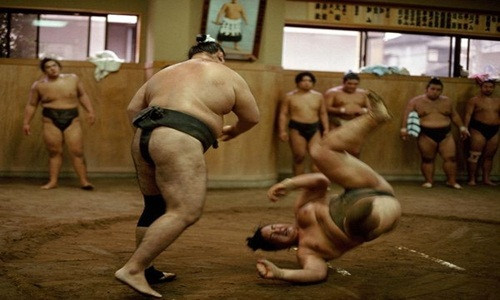 Không tập thể dục quá đà, các sumo của Nhật không ăn sáng, họ luyện tập ngay và sau đó dùng bữa trưa rồi đi ngủ. Sau khi thức dậy, họ lại luyện tập rồi ăn tối. Ảnh: Pinterest.