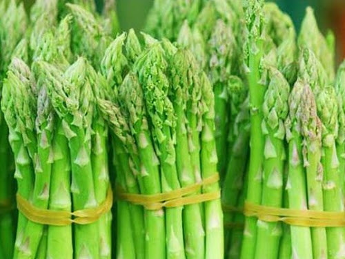 Măng tây. Là loại thảo mộc phục hồi và tái tạo khả năng sinh sản và ham muốn tình dục ở nữ giới. Ngoài ra, nó còn kích thích tiết sữa và tăng sức đề kháng cho cơ thể, giảm căng thẳng và lo lắng ở nữ giới.