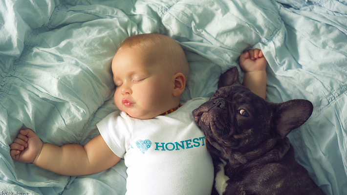 Cậu bé Dilan và chú chó Farley như đôi tri kỷ không thể tách rời, kể cả lúc chơi, lúc ngủ.