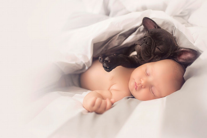 Chú cún Farley rất nhẹ nhàng và đôi lúc vụng về khi đối xử với Dilan.