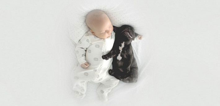 Farley luôn dọn dẹp đống hỗn độn của Dilan sau khi ăn, và nó cũng luôn liếm cổ Dilan khi cậu bé khóc, điều đó khiến Dilan cười phá lên và vui vẻ trở lại.