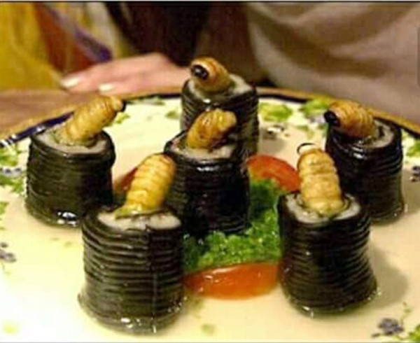 Sushi nhộng
